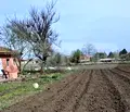 Снимка 2 — Къща в Добрич, с. Чернооково