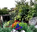 Снимка 3 — Къща в Шумен, с. Дибич