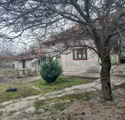 Снимка 3 — Къща с 2 500 кв.м двор в с. Драгомирово, обл. Велико Търново