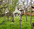 Снимка 5 — Къща в Хасково, с. Елена