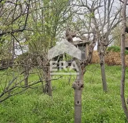 Снимка 5 — Къща в Хасково, с. Елена