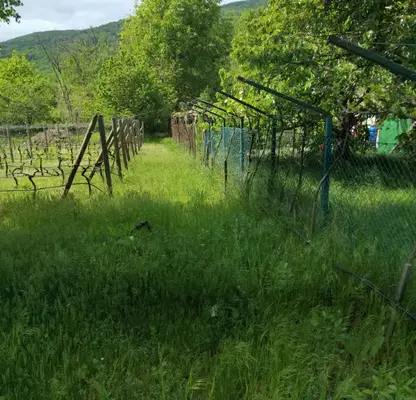 Снимка 3 — Къща в Кюстендил, с. Горановци