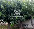 Снимка 4 — Къща в Сливен, с. Караново