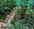 Снимка 5 — Къща в Бургас, с. Кошарица