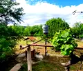 Снимка 5 — Къща в Пазарджик, с. Лесичово