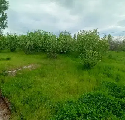 Снимка 2 — Къща в Хасково, с. Минерални бани