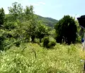 Снимка 2 — Къща в Стара Загора, с. Могилово