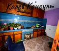 Снимка 3 — Къща в Хасково, с. Навъсен