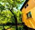 Снимка 5 — Къща в с. Панчарево