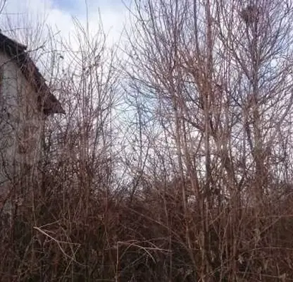 Снимка 3 — Къща с 3 стаи в с. Патреш, област Велико Търново с гледка към гора