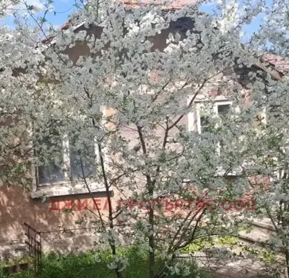 Photo 3 — House in Oblast Pernik, Rasnik