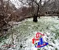 Снимка 2 — Къща в Шумен, с. Салманово