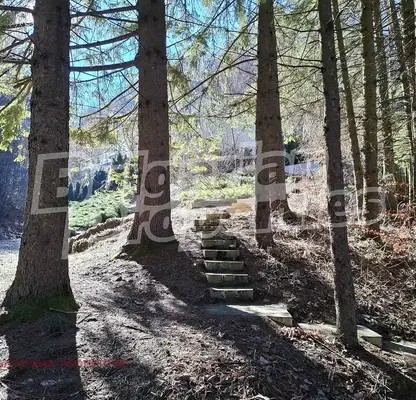 Снимка 5 — Къща с 5 стаи в с. Шипково с панорамна тераса