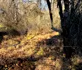 Снимка 3 — Къща в София, с. Владо Тричков