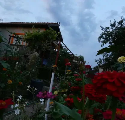 Photo 2 — House in Oblast Dobrich, Vrachanci