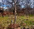 Снимка 4 — Къща в Пловдив, с. Златосел