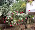 Снимка 2 — Къща в София, Драгалевци