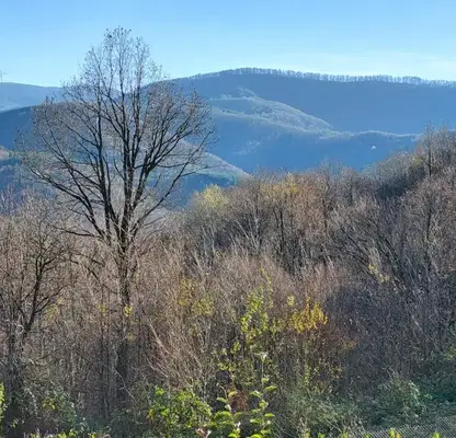 Photo 3 — House in Oblast Gabrovo, Tryavna