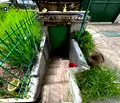 Снимка 4 — Къща в Пазарджик, Велин