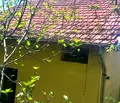 Снимка 2 — Къща във Враца, Студентски град