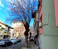Снимка 3 — Гараж/Паркомясто във Варна, Колхозен пазар