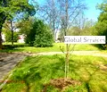 Снимка 4 — Магазин в София, Илинден