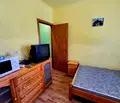 Снимка 2 — Стая в Пазарджик, Моста на Лютата