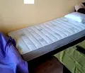 Снимка 4 — Стая в София, Разсадника