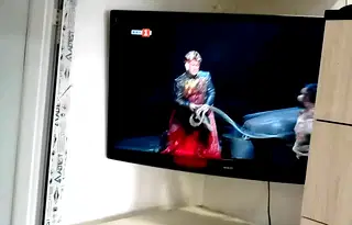 Едностаен апартамент в Възраждане, Бургас, партер