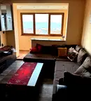 Тристаен апартамент в София, Елин Пелин