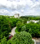 Тристаен апартамент в Габрово, Борово
