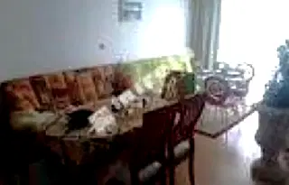 Двустаен апартамент в Бургас, к.к. Слънчев бряг