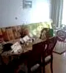 Двустаен апартамент в Бургас, к.к. Слънчев бряг