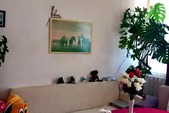Многостаен апартамент в Кърджали, Веселчане