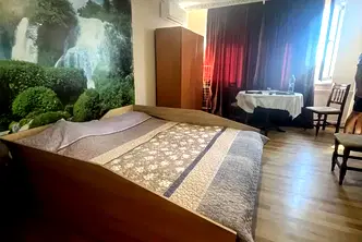 Едностаен апартамент в Плевен, Широк център