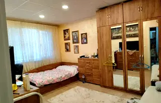 Едностаен апартамент в Плевен, Сторгозия