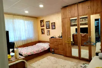 Едностаен апартамент в Плевен, Сторгозия