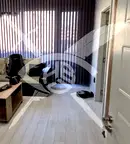 Тристаен апартамент с тераса в Кючук Париж, Пловдив