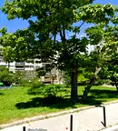 Едностаен апартамент в Русе, Родина 2