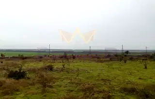 Тристаен апартамент в Добрич, с. Стражица