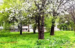 Двустаен апартамент с две тераси в Банишора, София