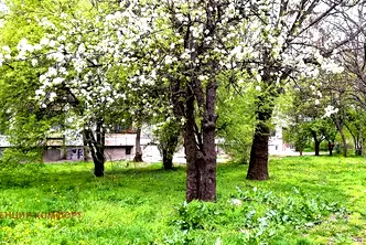 Двустаен апартамент с две тераси в Банишора, София