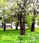 Двустаен апартамент с две тераси в Банишора, София