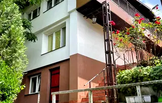 Тристаен апартамент с тераса в Бояна, София