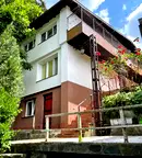 Тристаен апартамент с тераса в Бояна, София