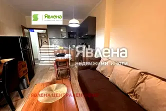 Едностаен апартамент в София, Дървеница
