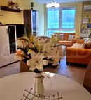 Двустаен апартамент с тераса в Дървеница, София