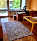 Двустаен апартамент с тераса в Гео Милев, София