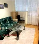 Едностаен апартамент с двор в Горна баня, София
