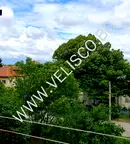 Едностаен апартамент в Красна поляна с отделна кухня